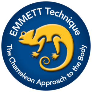 Emmet Practitioner